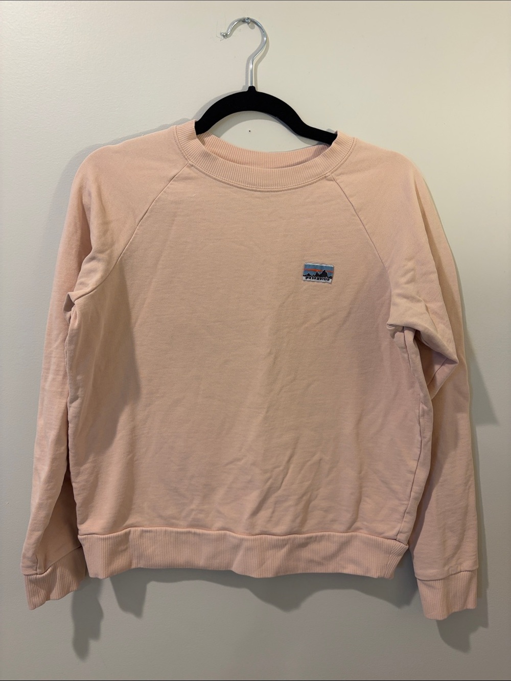 Unisex Patagonia Regenerative Organic Cotton Crewneck Sweatshirt in Light Pink